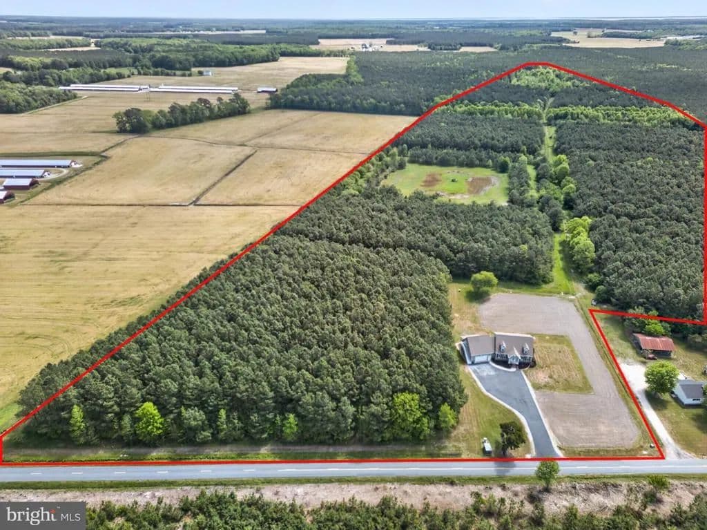 68.48 Acres of Land for Sale in POCOMOKE CITY, MD - Pocomoke City, Maryland, 21851