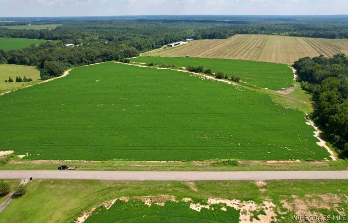 3.4 Acres of Land for Sale in Newton, Alabama - Newton, Alabama, 36352