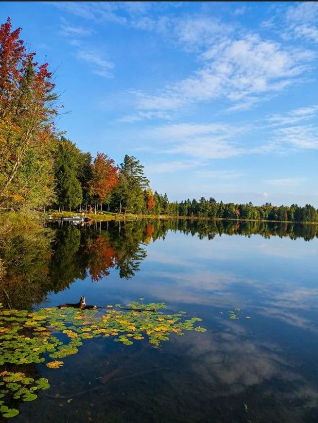 U.P. Robinson Lake Parcel 50167828 - land for sale