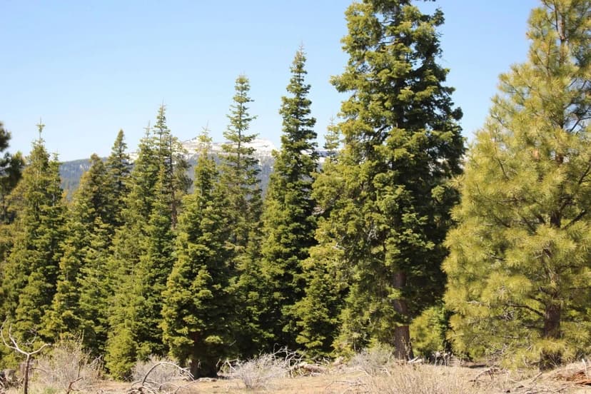 Deer Creek - 152 Acres - NF-348 Road (Road 212) Paisley, Oregon