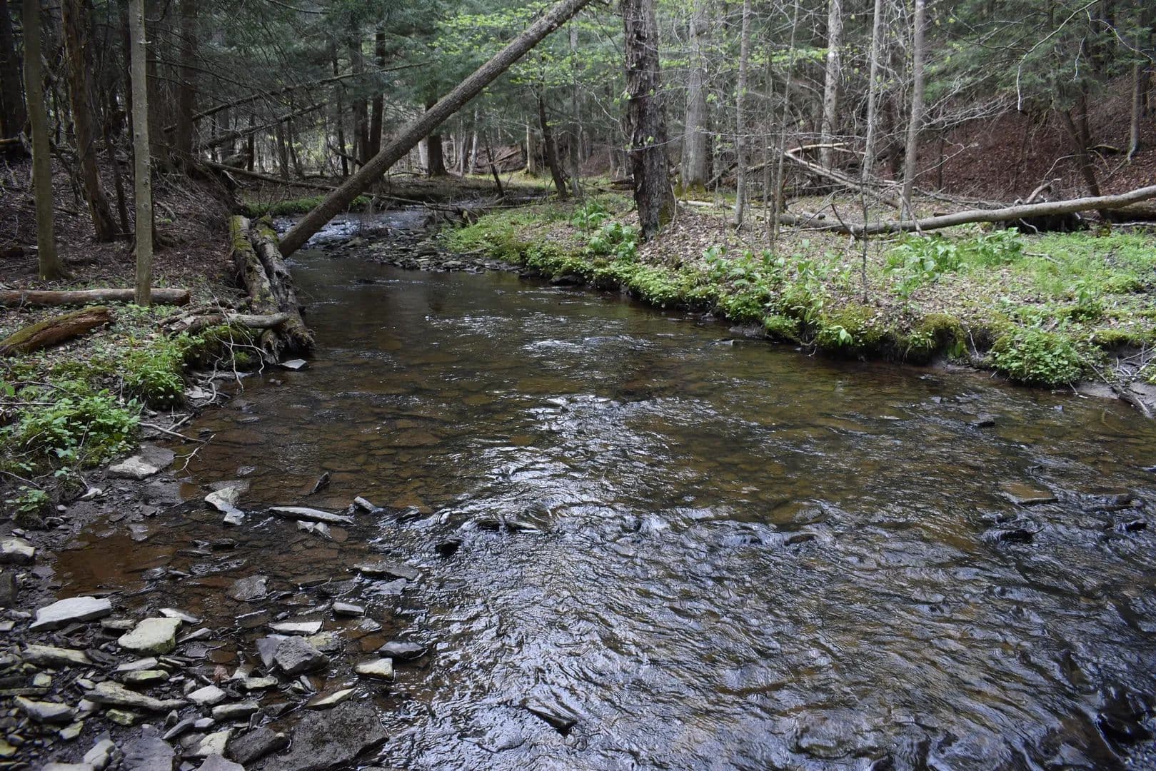 Hosmer Run - Spring Creek, Pennsylvania, 16436