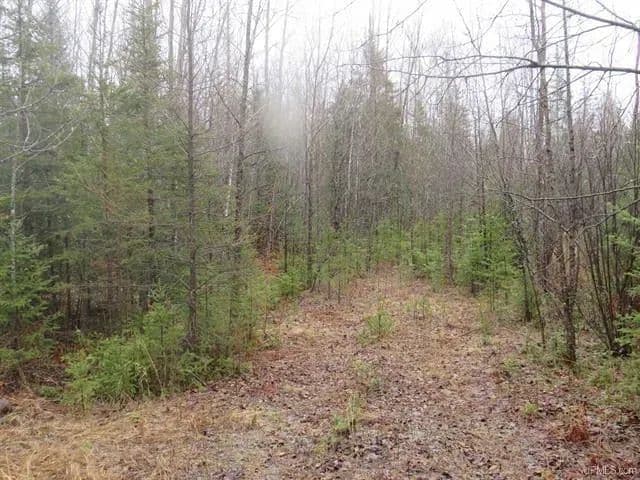80 Acre Woodland Retreat 50173805