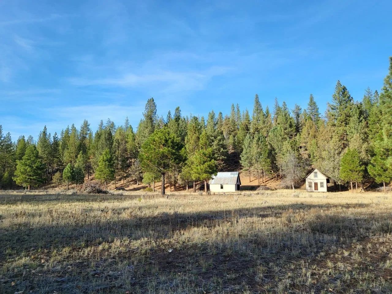 Johnson Creek Meadow - land for sale
