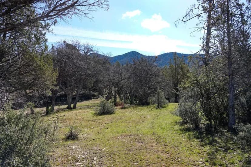 Blacktail Hills Retreat