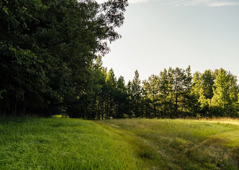 234 Acres in Hinds County, MS