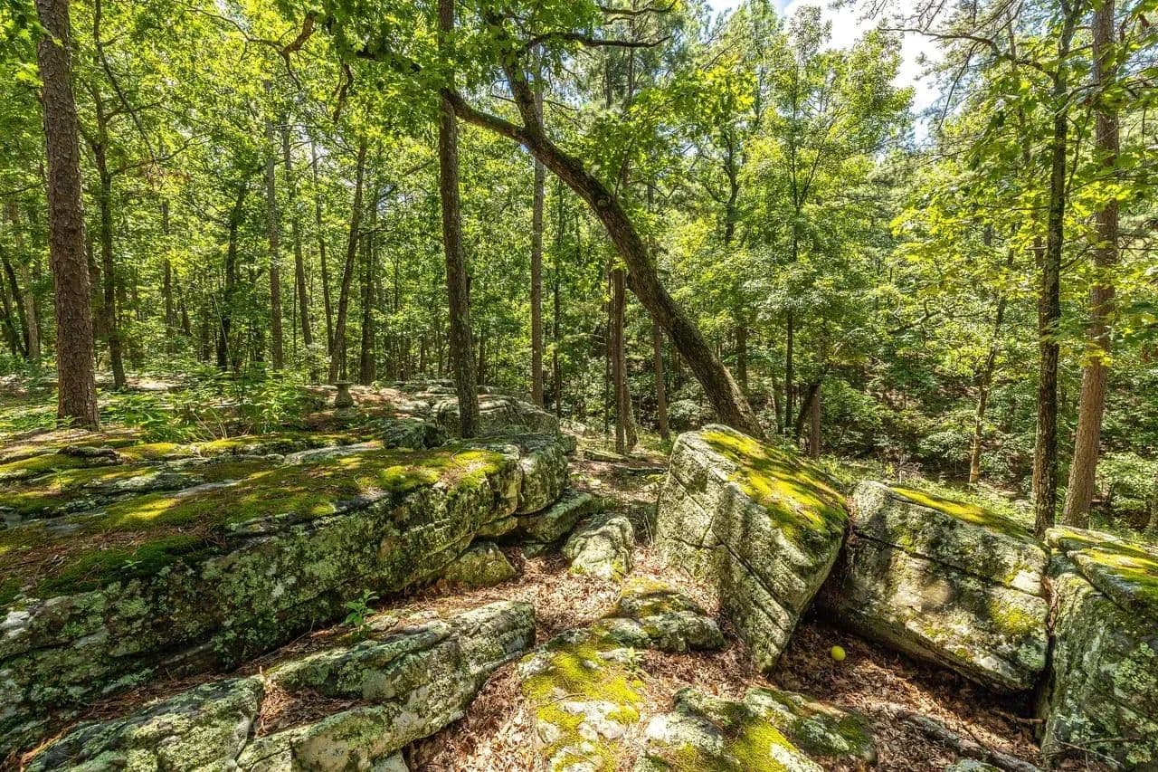 Boulder Pine Hollow in Licking, Missouri - photo 40
