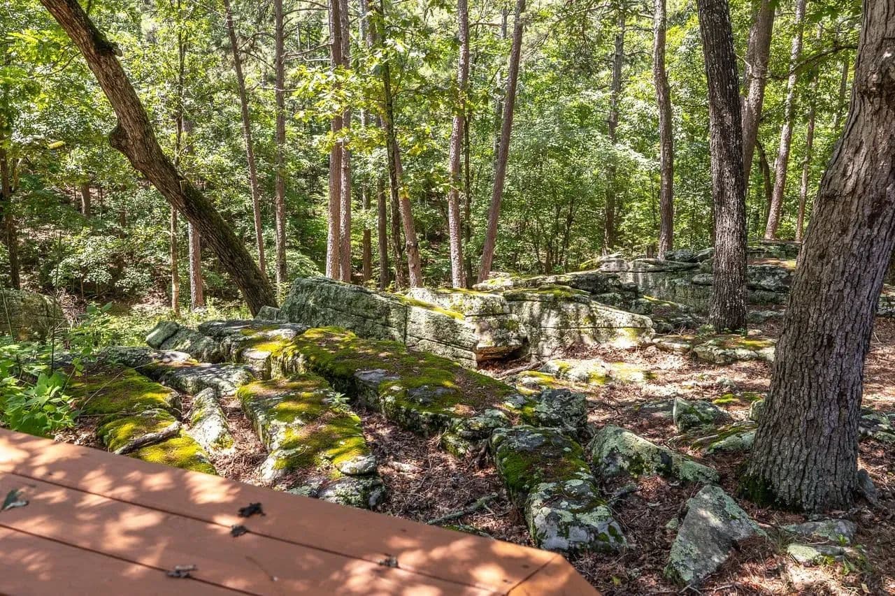 Boulder Pine Hollow in Licking, Missouri - photo 42