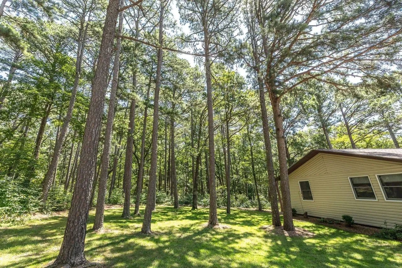 Boulder Pine Hollow in Licking, Missouri - photo 50