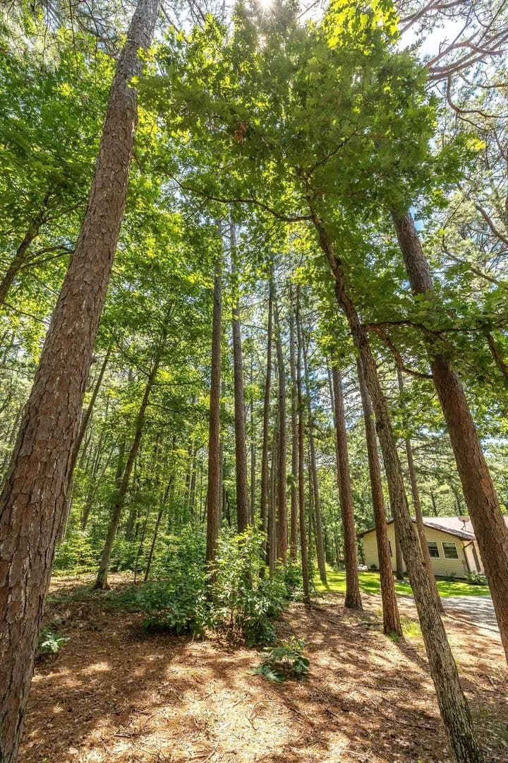 Boulder Pine Hollow in Licking, Missouri - photo 2