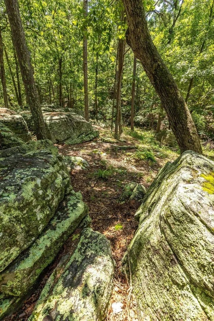 Boulder Pine Hollow in Licking, Missouri - photo 39