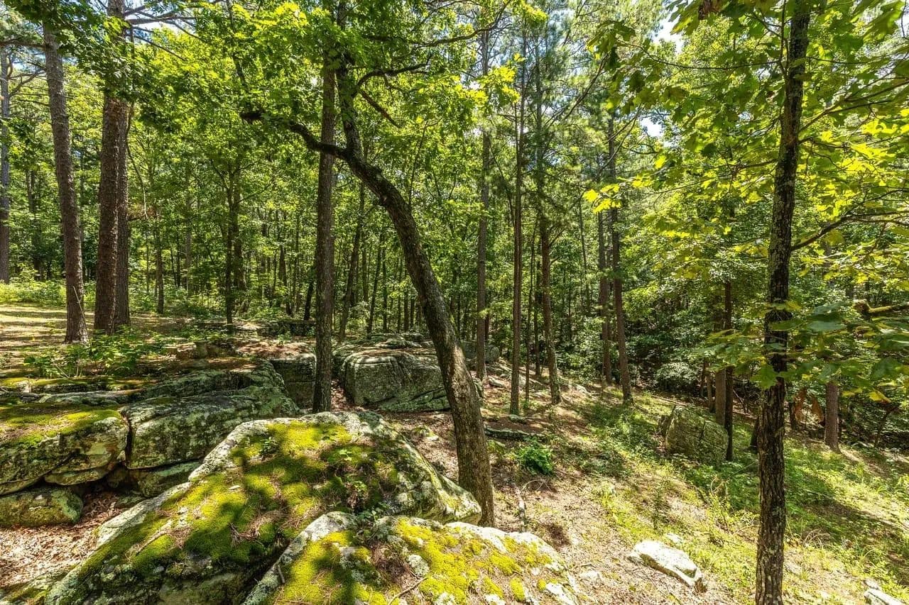 Boulder Pine Hollow in Licking, Missouri - photo 41