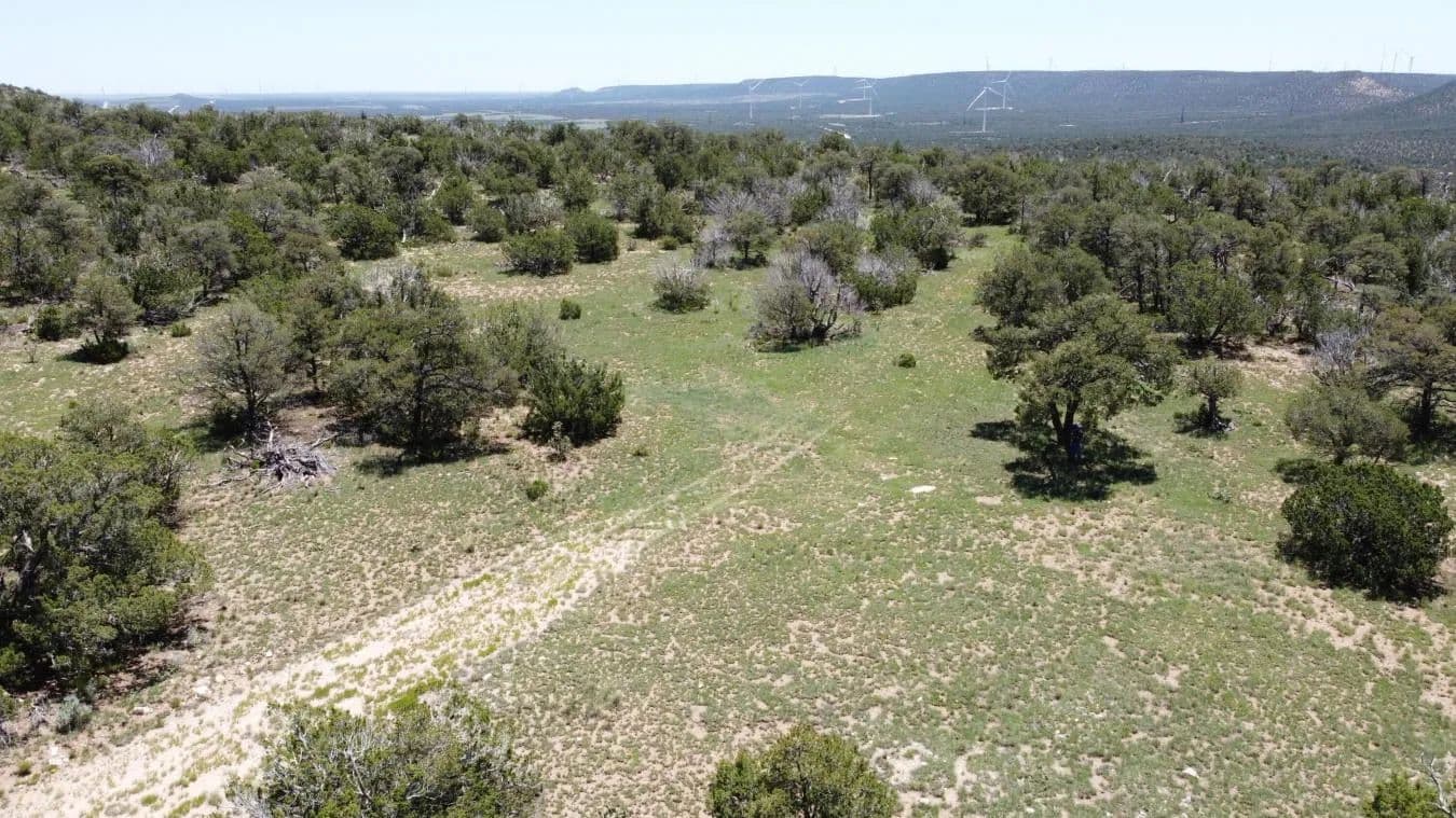 Lot 16 Swayback Trail - Corona, New Mexico, 88318