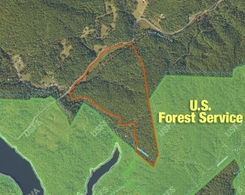 96.84+-Acres Unrestricted with USFS and Trout Stream