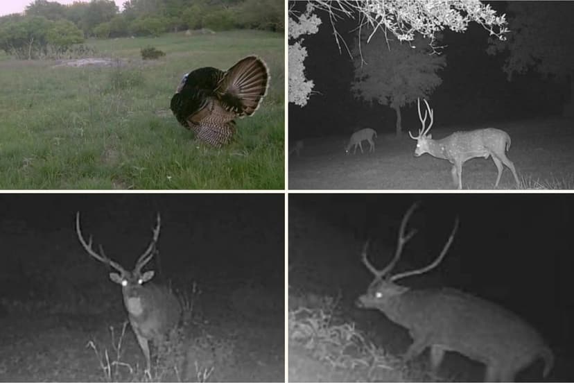 103 Misty Waters, Boerne, Texas 78006