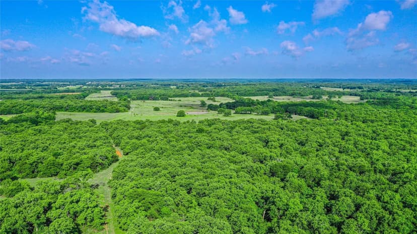 YOUNGER RANCH | 265.82± Acres | Sunset, Texas | Wise County