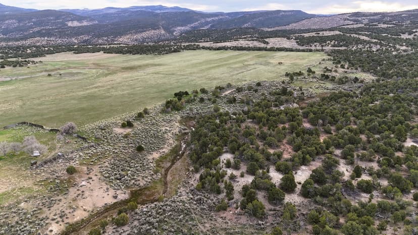 Paradise at Gooseberry