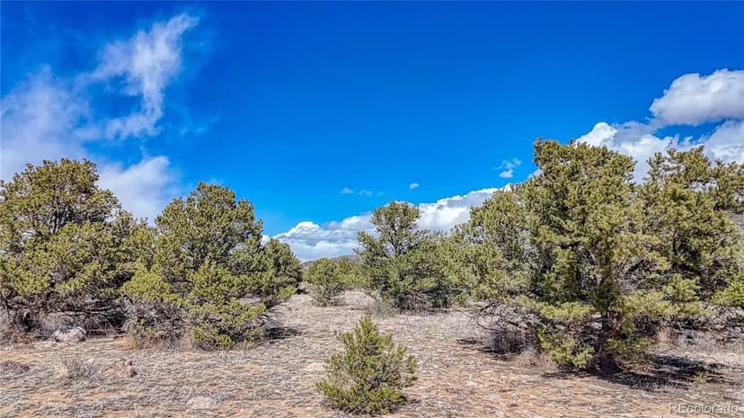 This Salida property is ready for you to build your dream home!