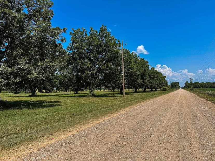 Quitman County 62 Acres