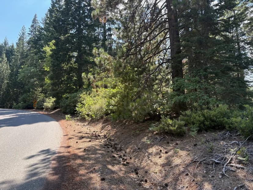 40 Acres Siskiyou (410)