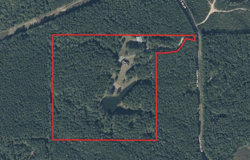 A Home on 42 Acres in Jasper County, MS