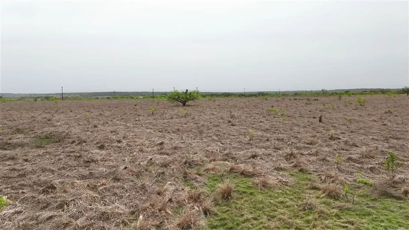 141 Live Oak Mott Dr