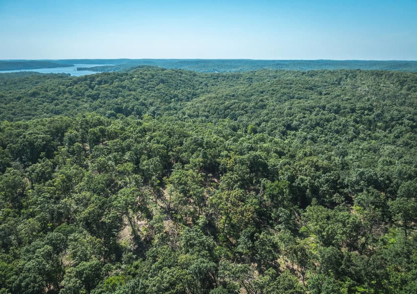 Bayberry Ln, Camdenton, MO