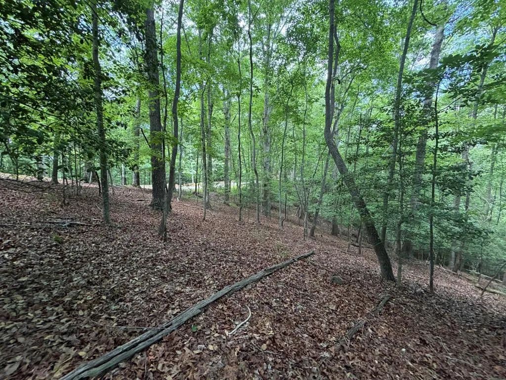 Property from Lot 1049 Gateway Drive - KW - Ellijay, Georgia, 30540