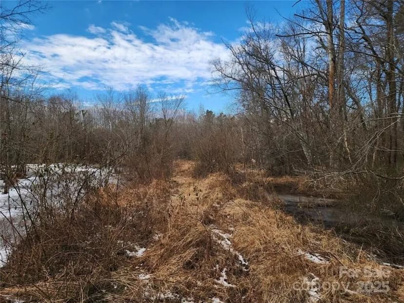 +/- 104ac - 2351 Reges Store Rd Nashville NC - Nash Co