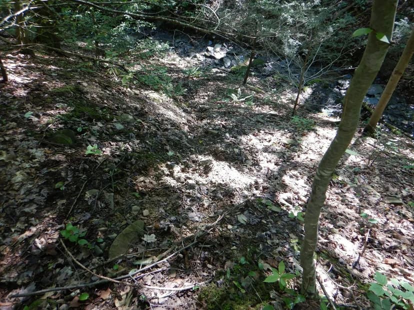 Starks Road Serenity