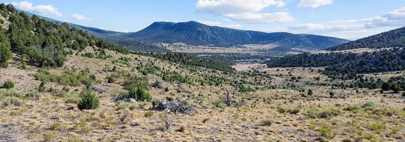 Ridge & Hollow Ranch