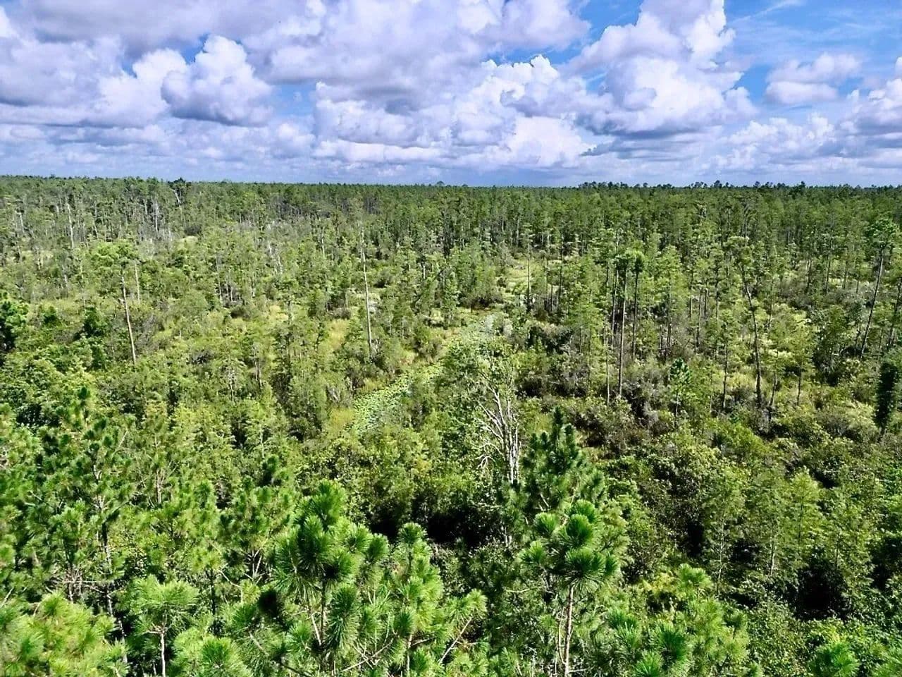 Lafayette County 40 - Mayo, Florida, 32066