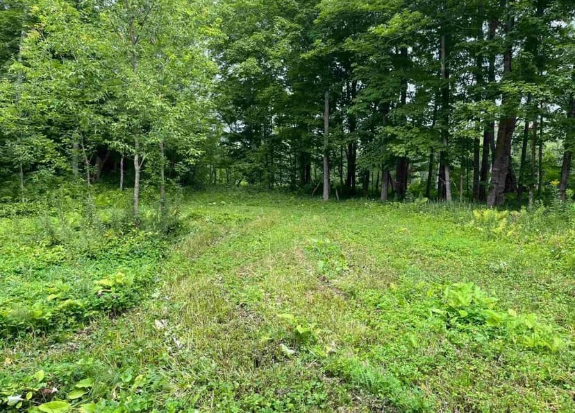 River Bend Retreat 50184268