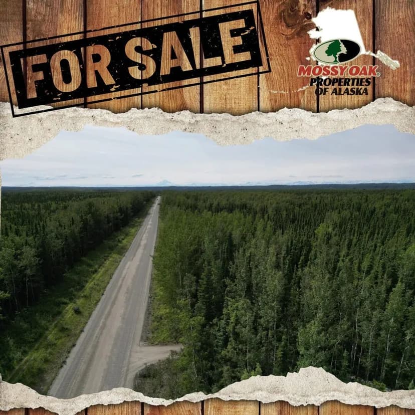 Brown's Lake Road Lot, Soldotna AK