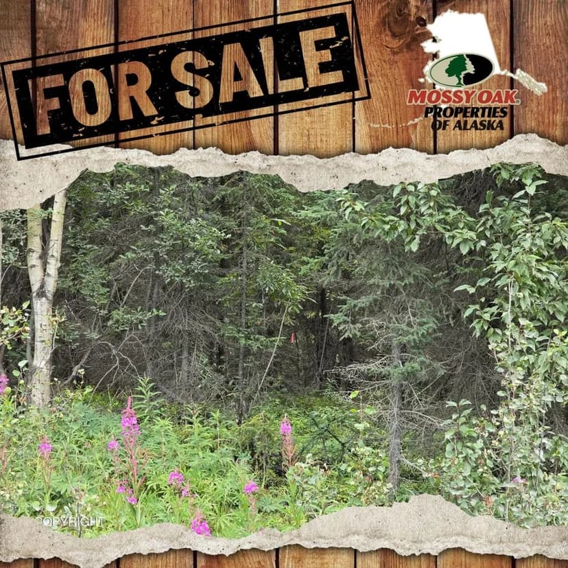 1.05 ac Brown's Lake Lot 7b Blk G