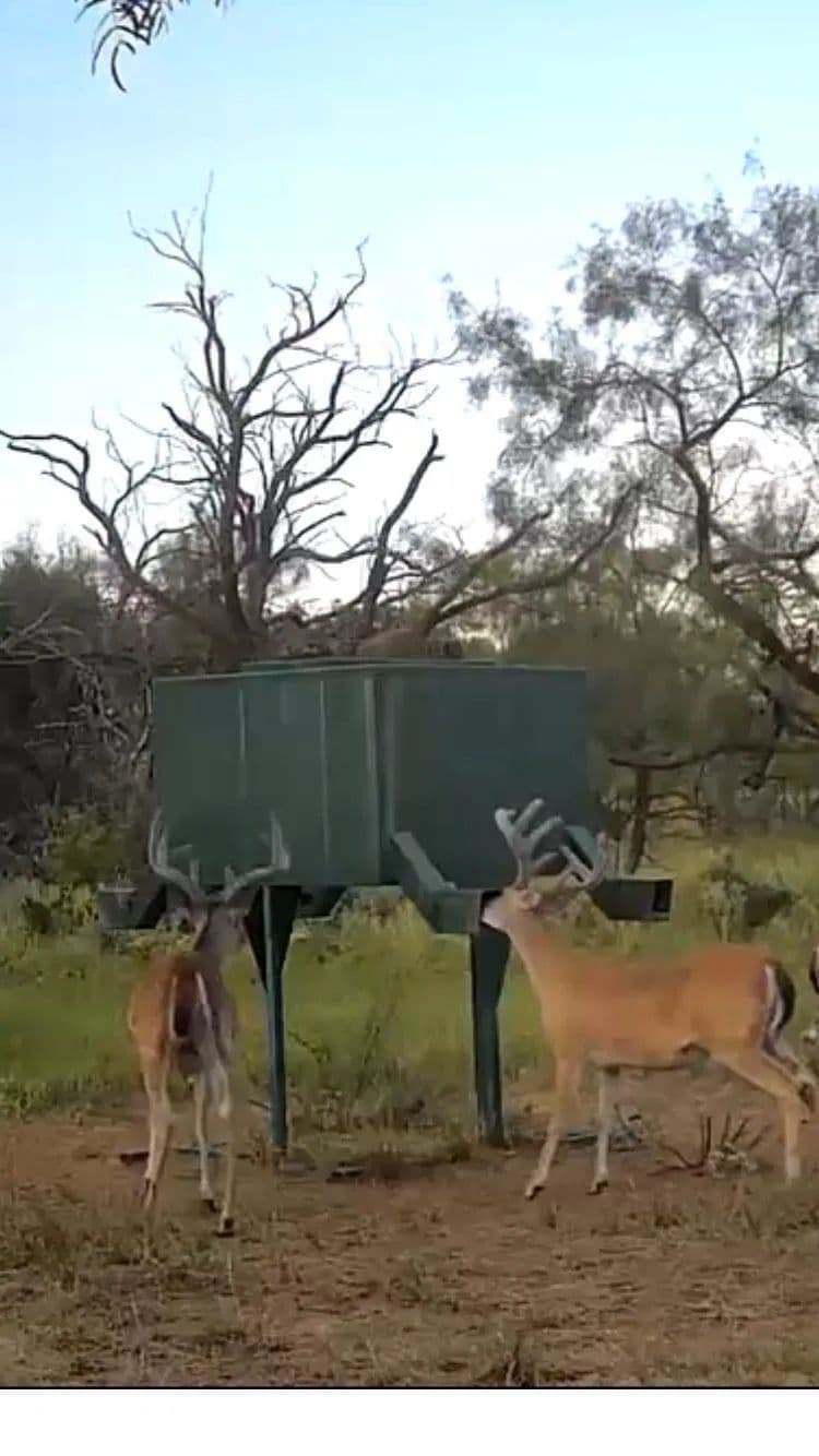 1712 Wells East Road W, Newcastle, Texas 76372