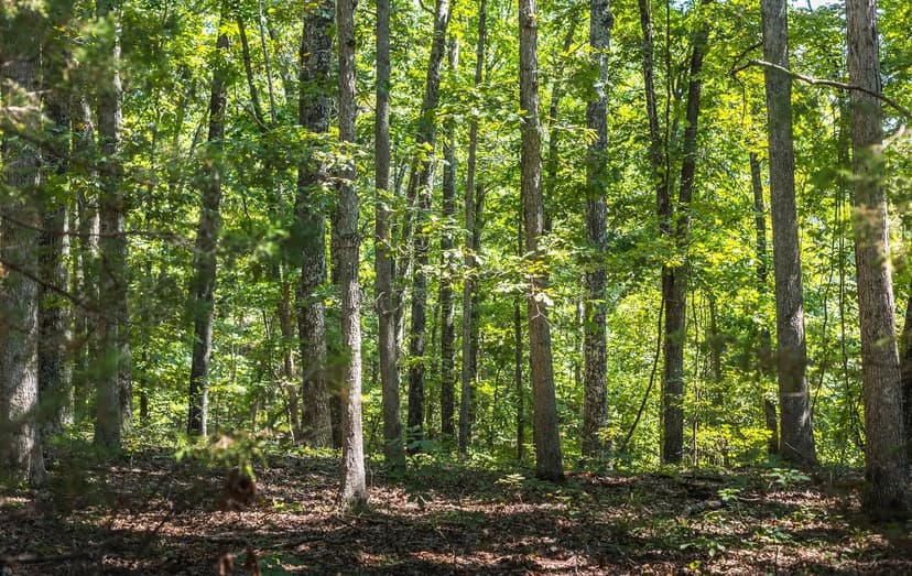 Montauk Sportsman's Escape