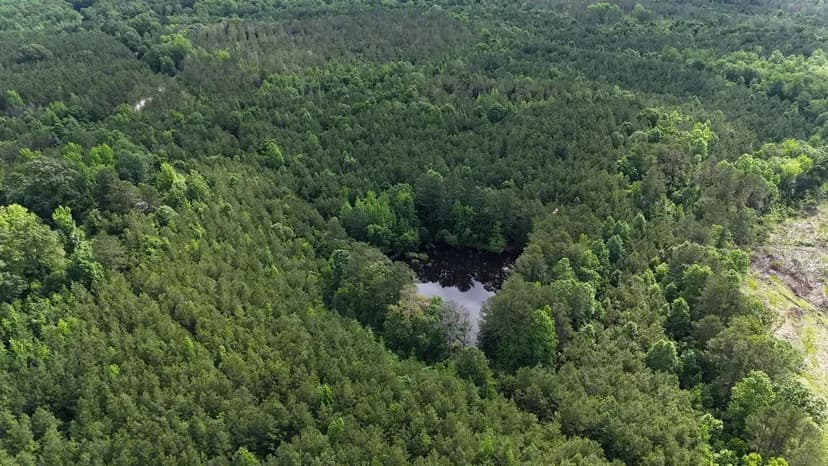 Itawamba County - Scott Senter Road 185 Acres