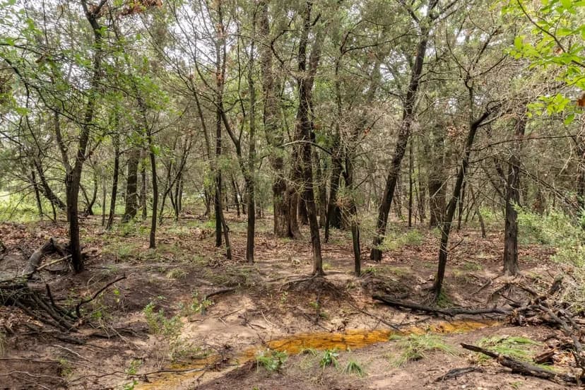 11 acres in Hood County with great trees! (Shiloh Vista Ranch T4)