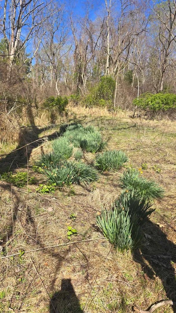 Property from TBD HUFFVILLE Road - KW - Pilot, Virginia, 24138