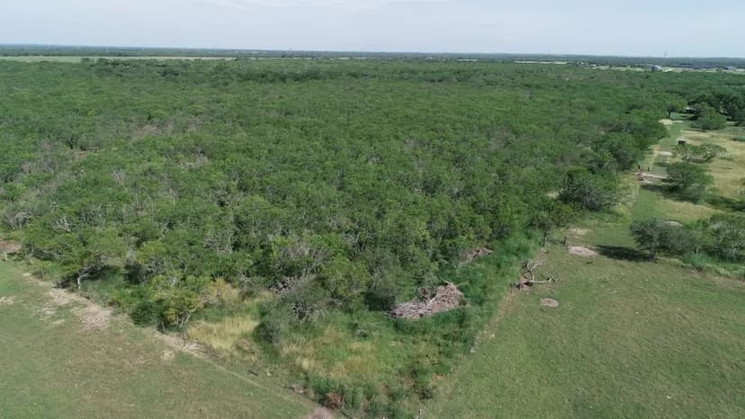 10+ acres of Goliad County land with owner finance options!