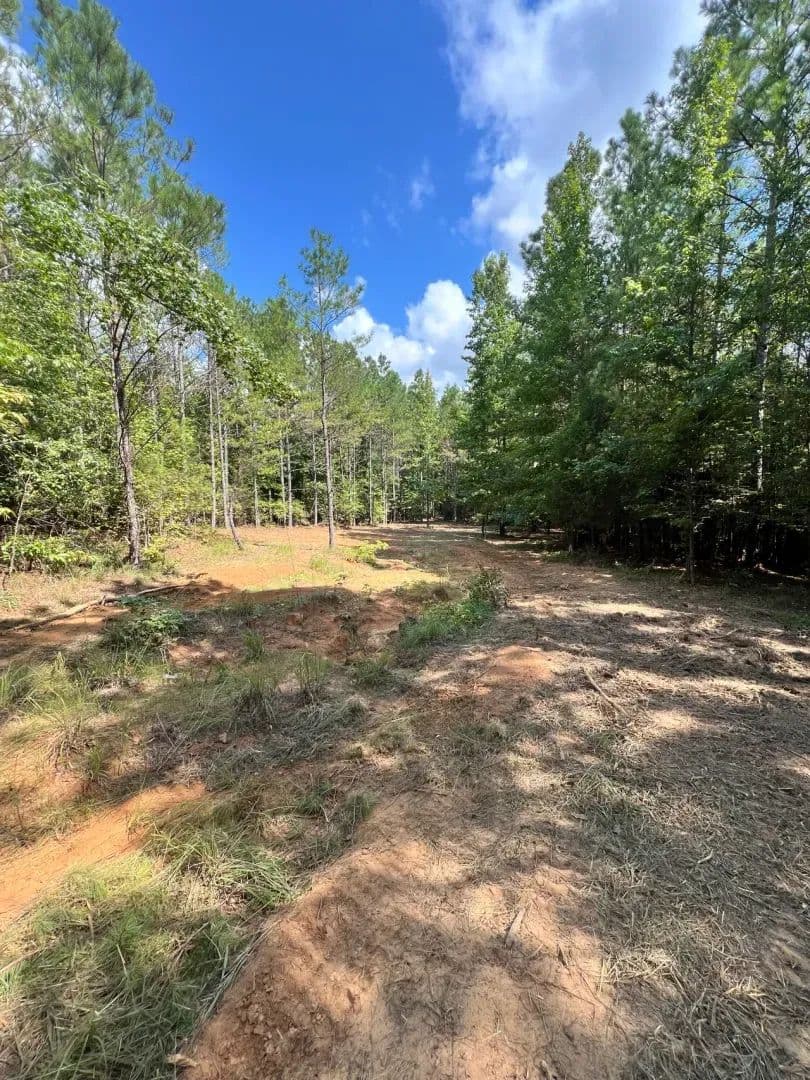 Itawamba County - Scott Senter Road 266 Acres