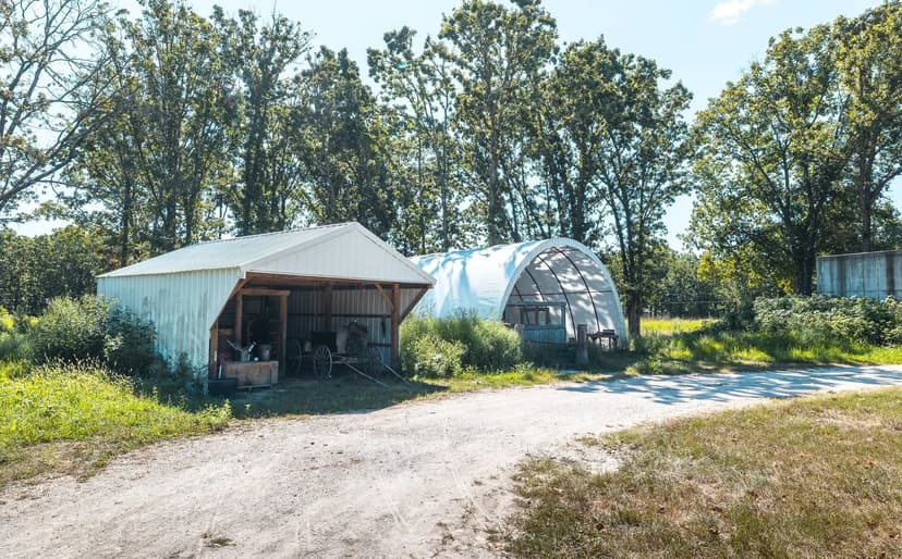 Cage Free Chicken Farm