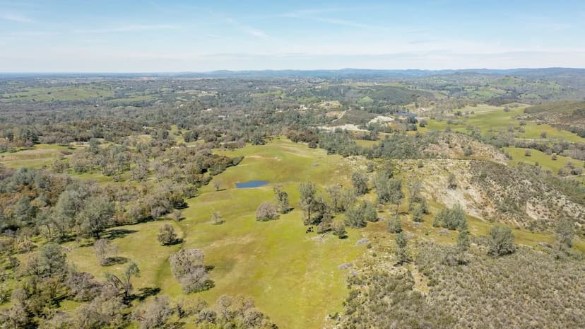 Sutter Springs Ranch