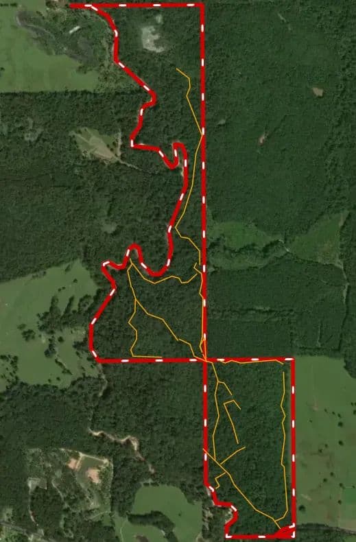 194 Acres in Newton County, MS