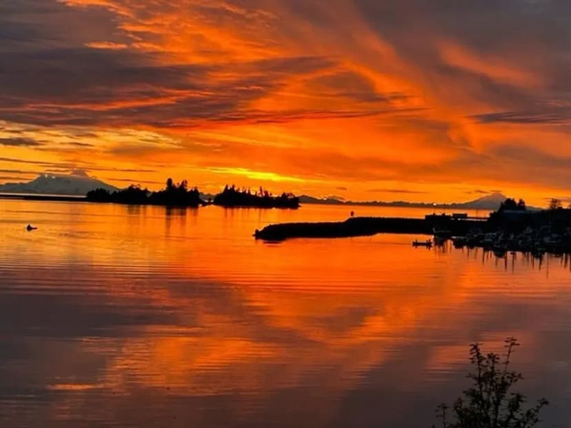 Seldovia Beach Front 4.09