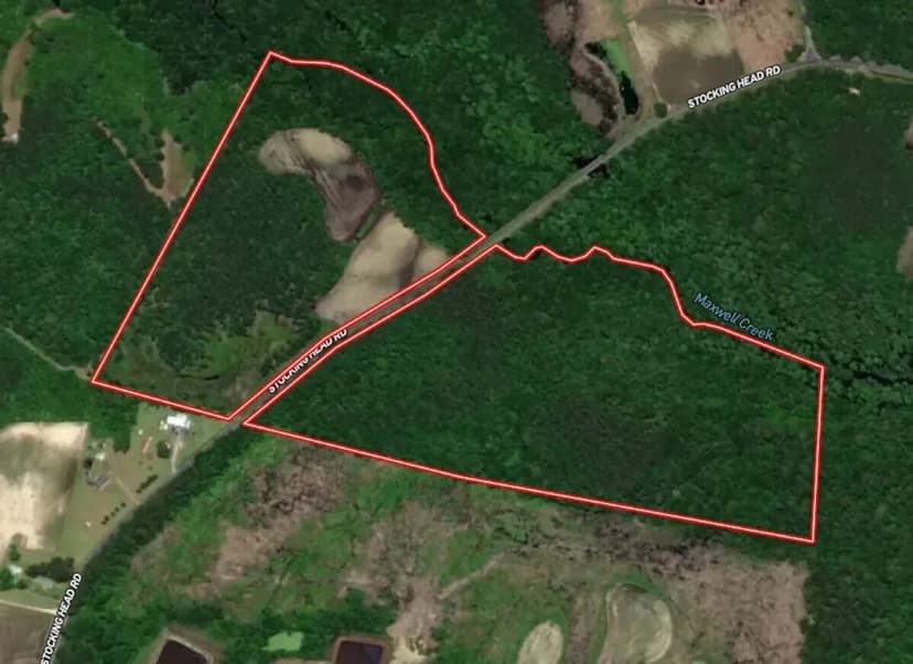 74.8 Acres of Recreational & Timberland For Sale in Duplin County NC!