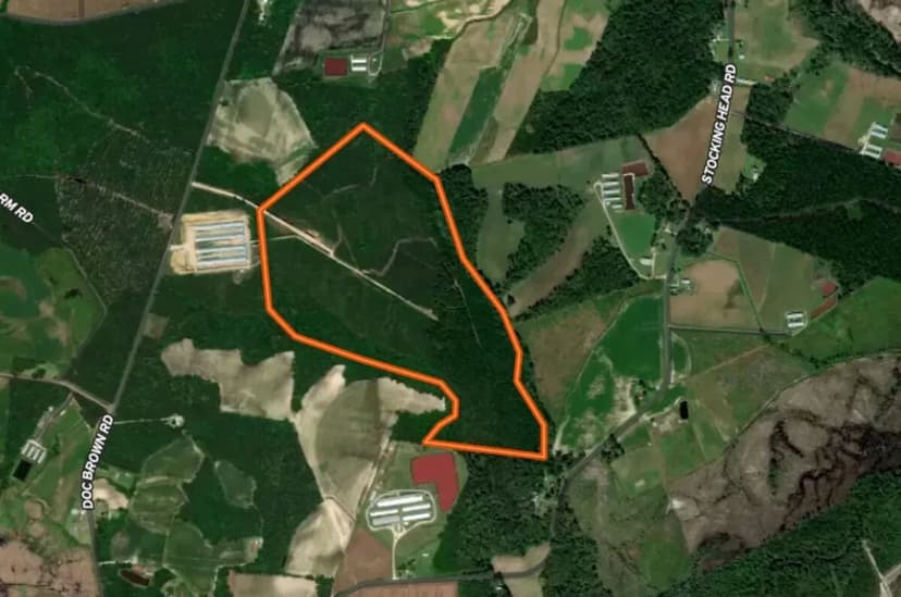 118 Acres of Recreational & Timberland For Sale in Duplin County NC!