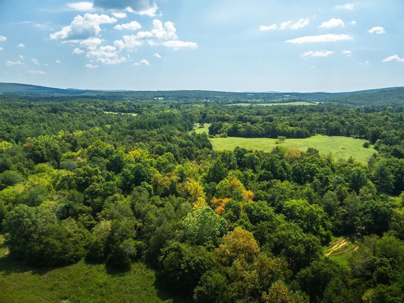 420 Acre Farm on Stouts Creek