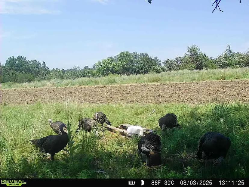 Dry Creek Retreat South 320