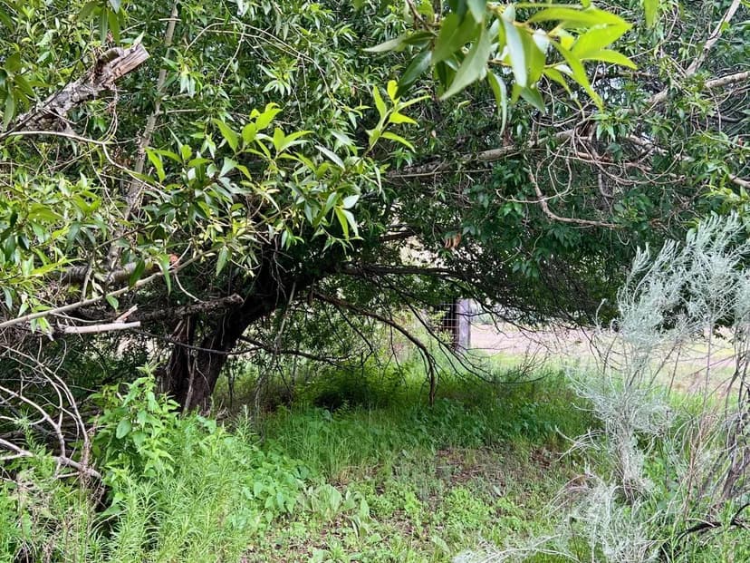 Sapillo Creek Acreage In Lake Roberts